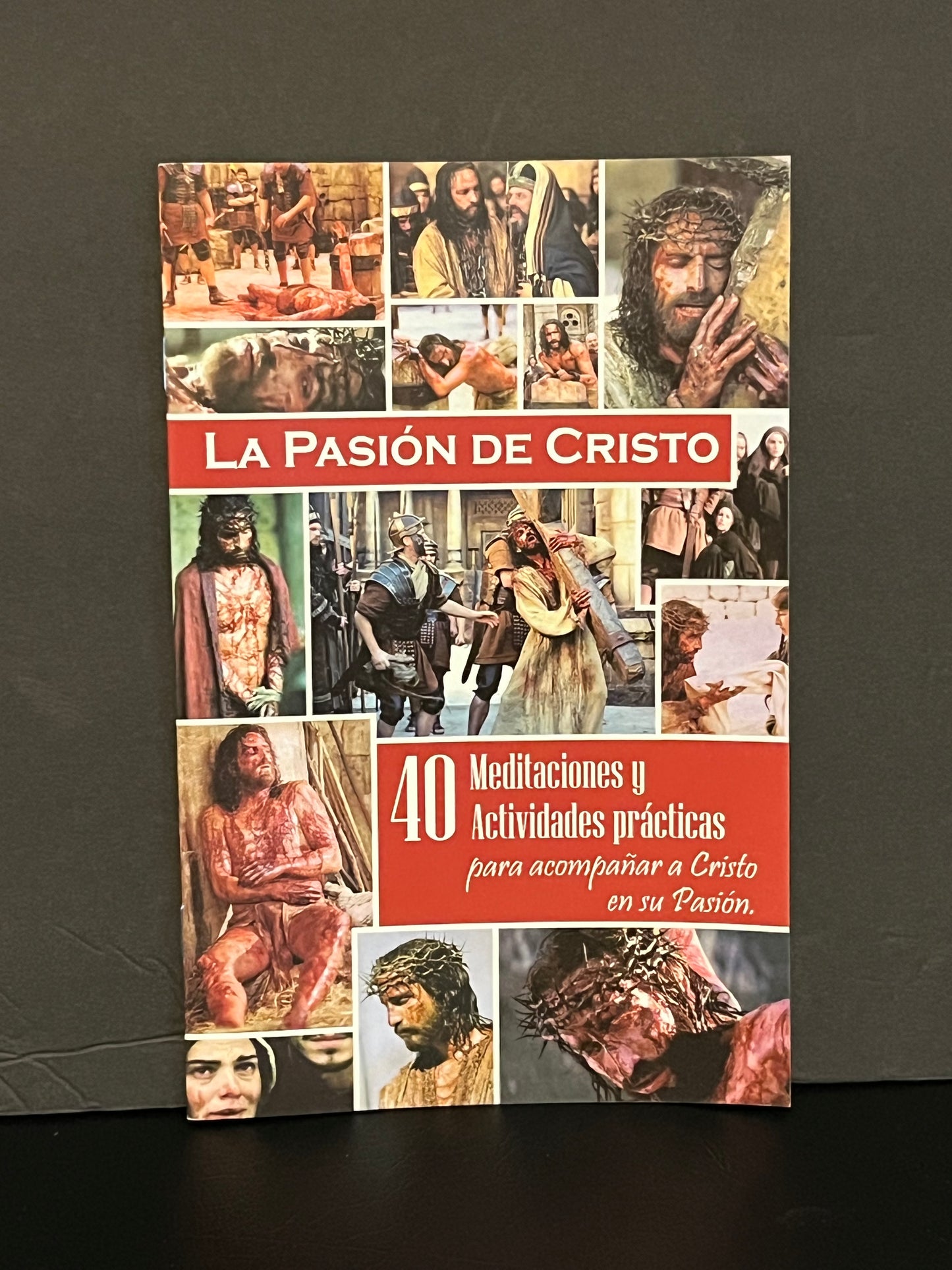 LA PASIÓN DE CRISTO.