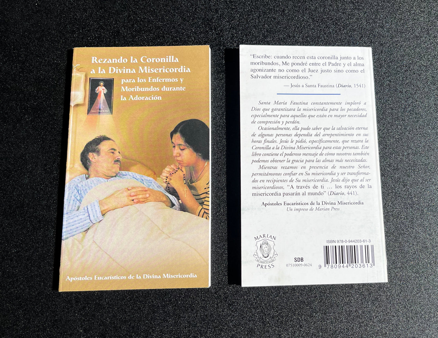 1. Rezando la Coronilla a la Divina Misericordia para los enfermos y moribundos durante la adoración