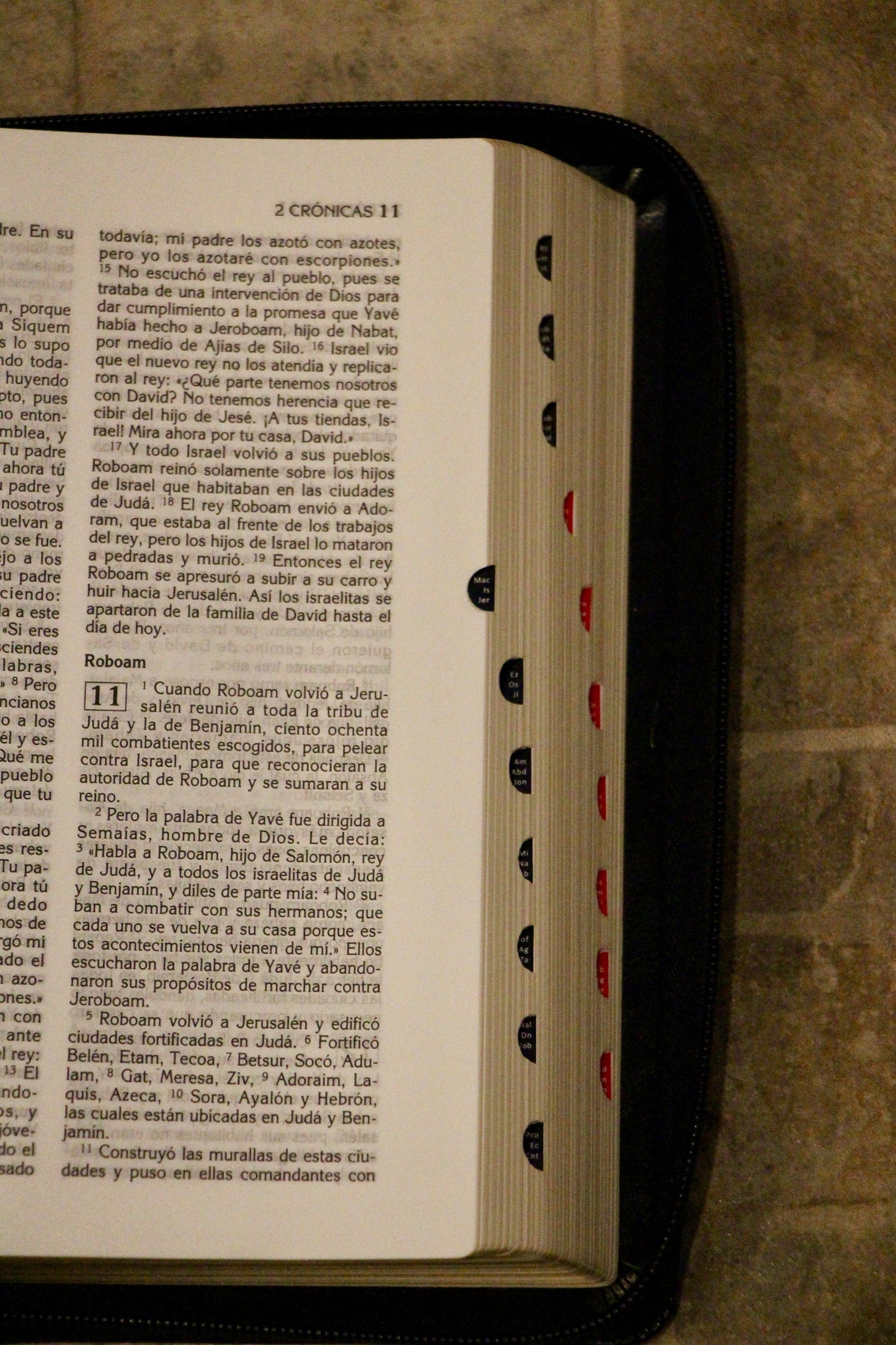 BIBLIA LATINOAMERICANA DE LUJO LETRA GRANDE