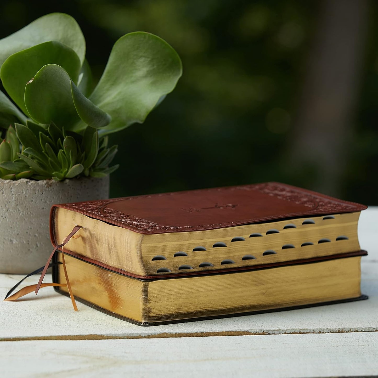 Biblia NABRE Edición Católica Letra Grande Tapa Cuero Marrón