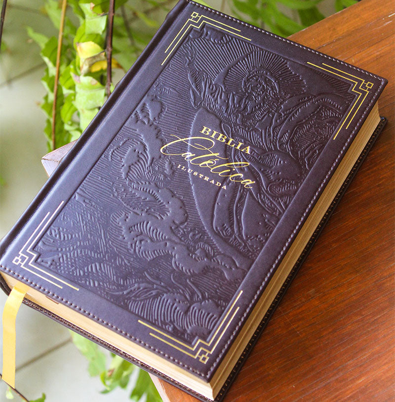 Biblia de América Católica Ilustrada en Estuche de Lujo