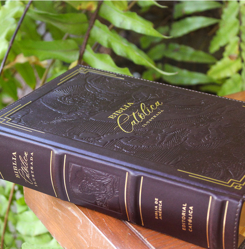 Biblia de América Católica Ilustrada en Estuche de Lujo