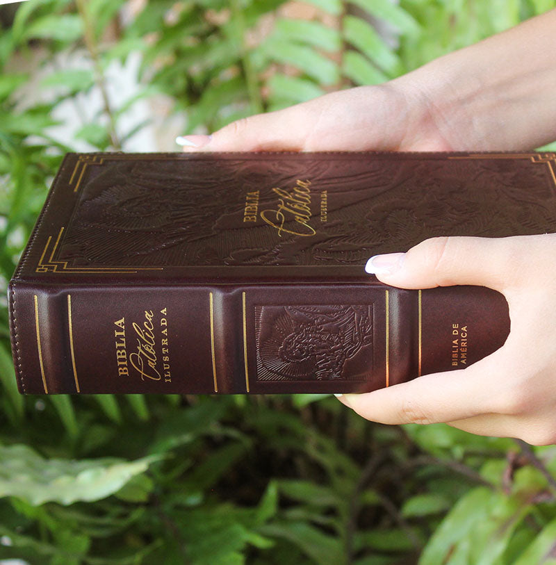 Biblia de América Católica Ilustrada en Estuche de Lujo