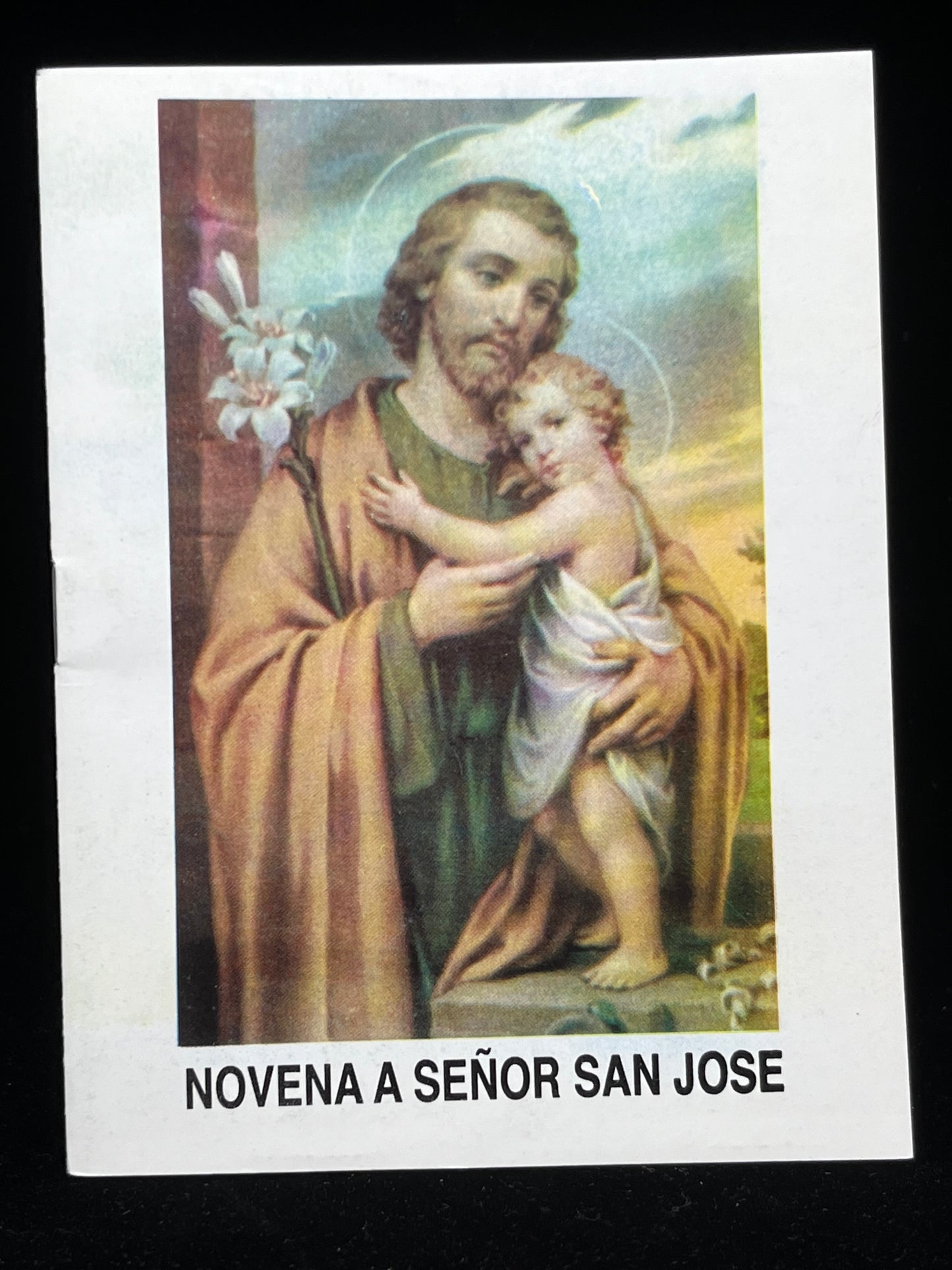 1. NOVENA A SENOR SAN JOSE