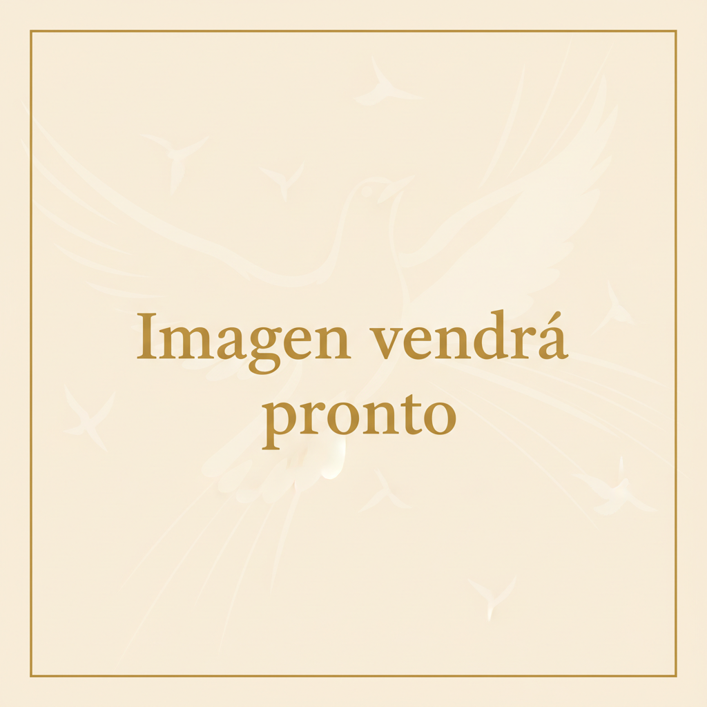 Imagen vendrá pronto
