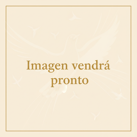 Imagen vendrá pronto