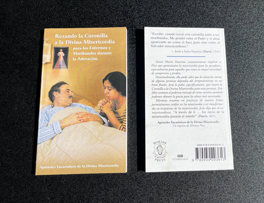 1. Rezando la Coronilla a la Divina Misericordia para los enfermos y moribundos durante la adoración